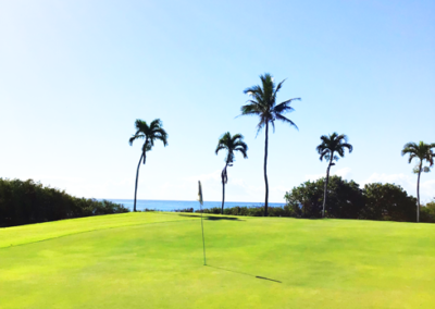 Hawaii Kai Golfing