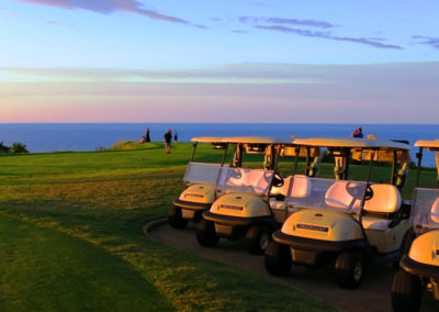 golf carts lined up on hawaii golf course