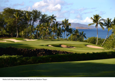 wailea golf course in hawaii
