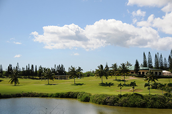 Golfing In Hawaii Club Rentals